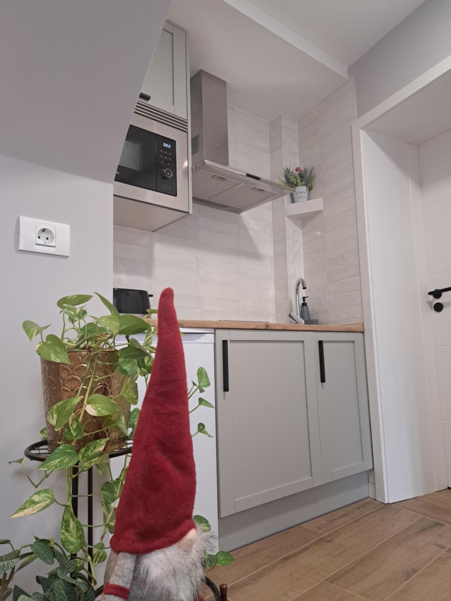 Casa Ileana Centrul Vechi Brasov Apartment Exterior photo